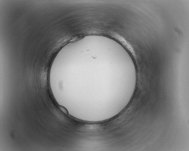 X0000116550057201001071124