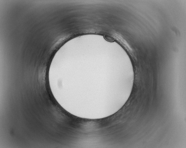 X0000116550058201001071124