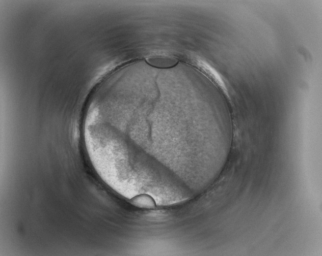 X0000116550059201001071124