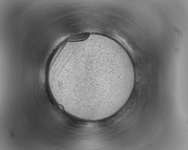 X0000116550060201001071124