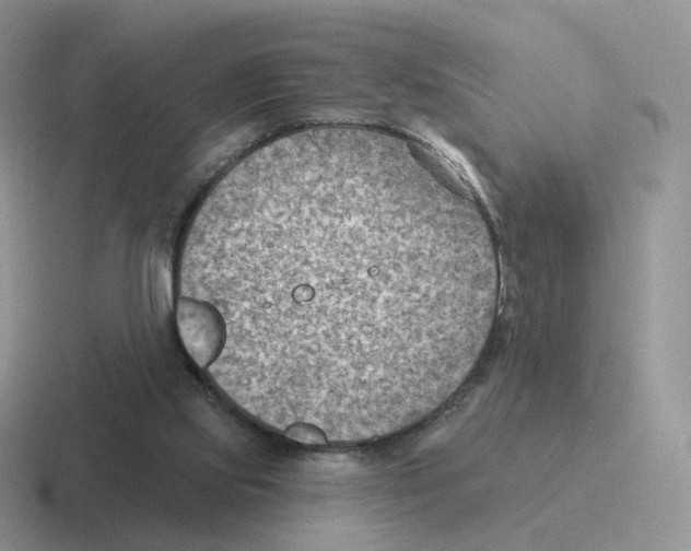 X0000116550061201001071124