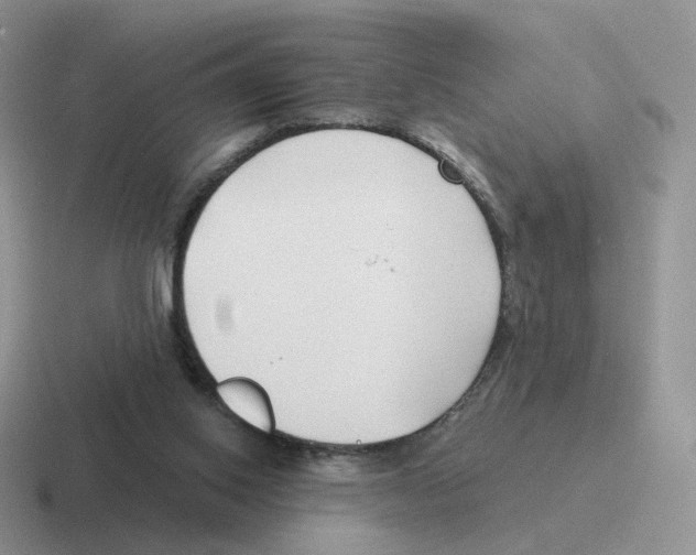 X0000116550062201001071124