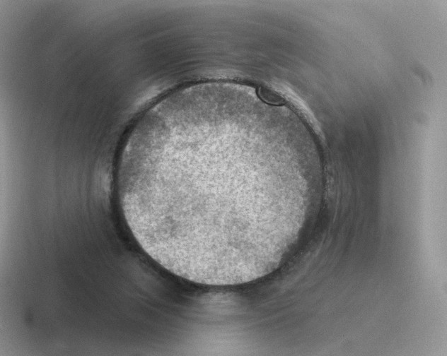 X0000116550063201001071124