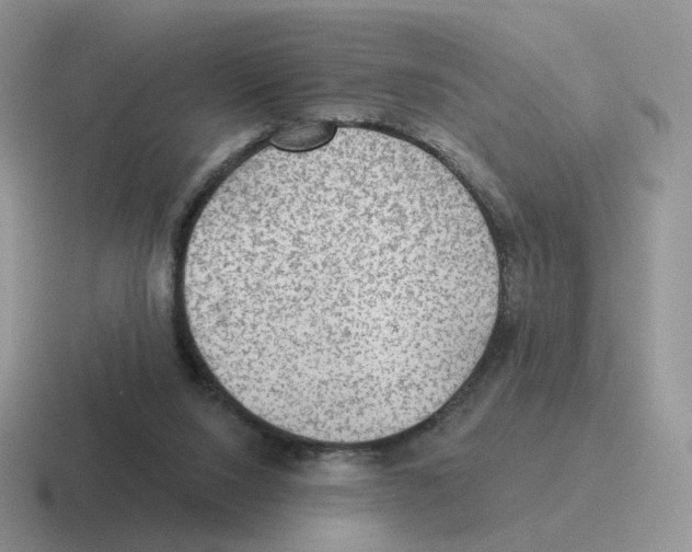 X0000116550064201001071124