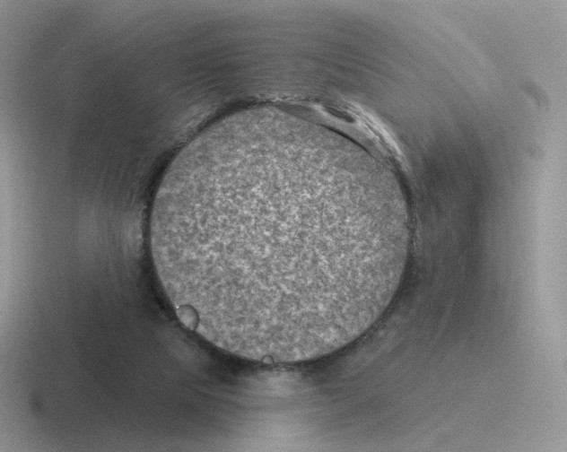 X0000116550065201001071124