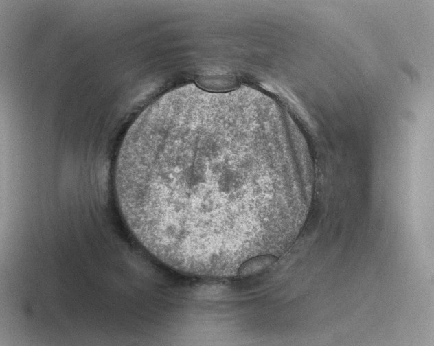 X0000116550066201001071124