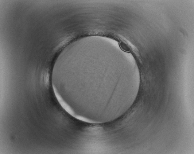 X0000116550067201001071124