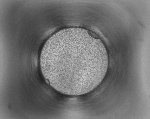 X0000116550068201001071124