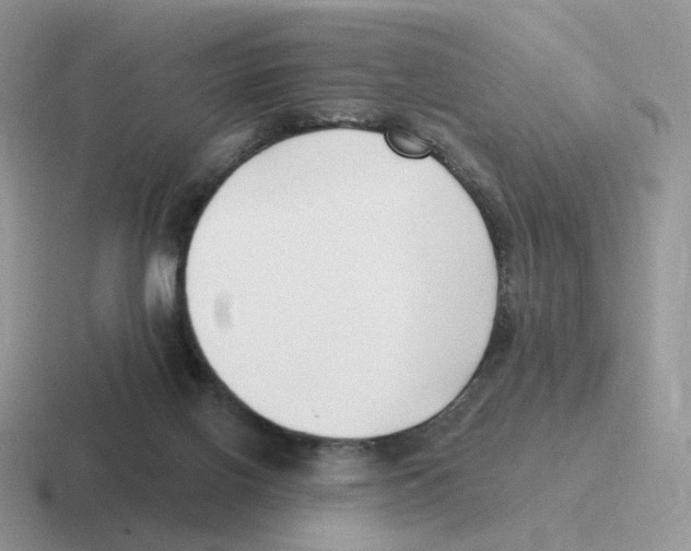 X0000116550070201001071124