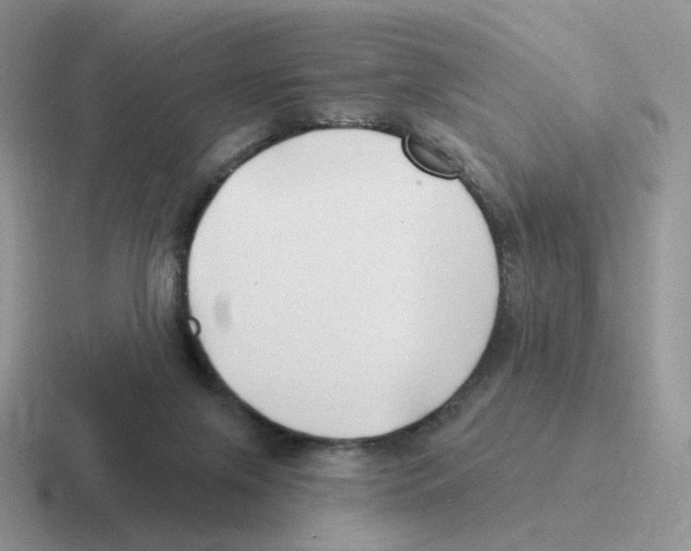 X0000116550071201001071124