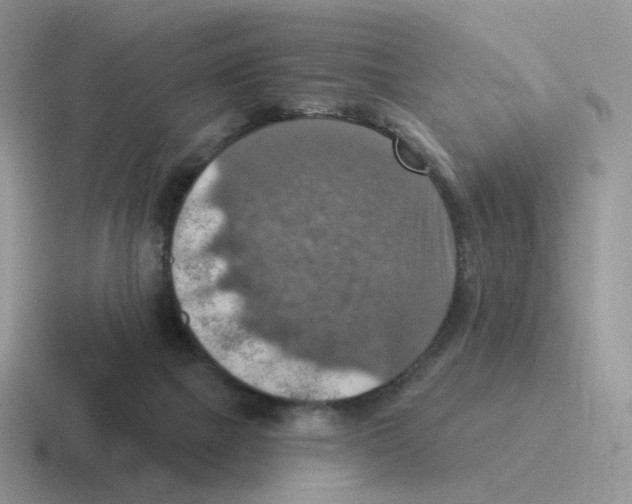 X0000116550073201001071124