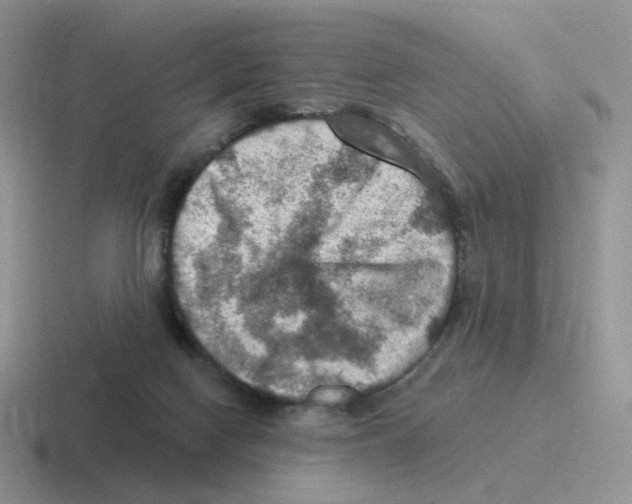 X0000116550074201001071124