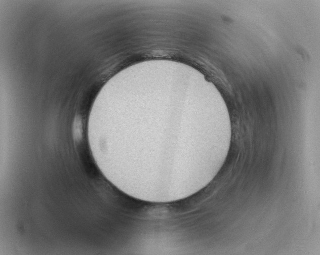 X0000116550075201001071124