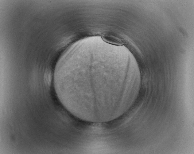 X0000116550076201001071124