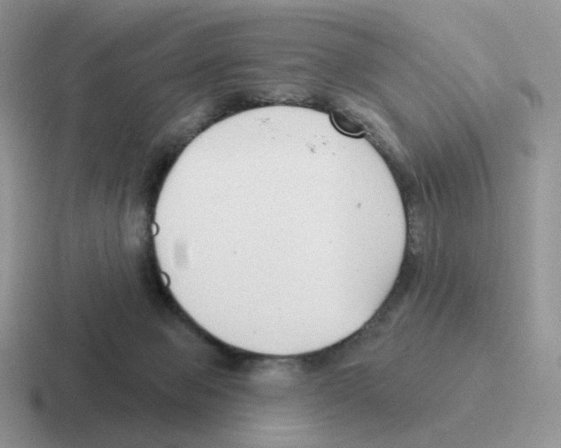 X0000116550077201001071124