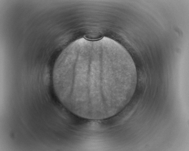 X0000116550080201001071124