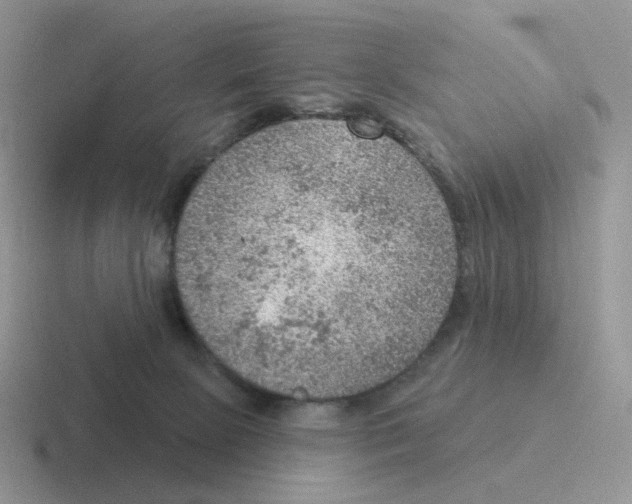 X0000116550081201001071124