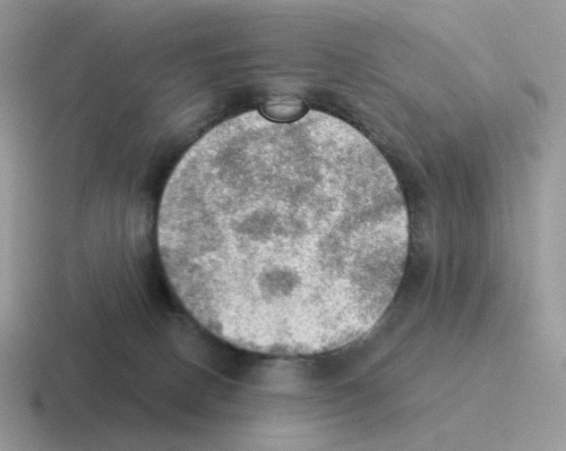 X0000116550082201001071124