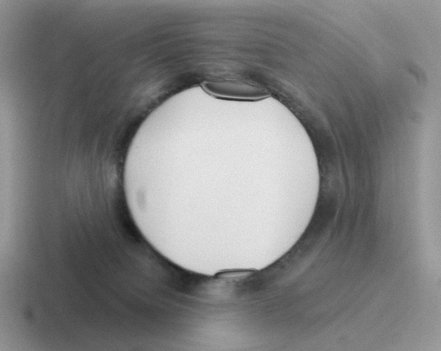 X0000116550084201001071124