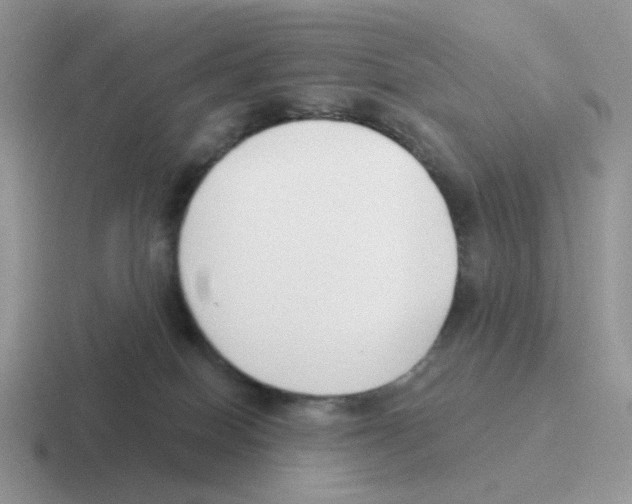 X0000116550086201001071124