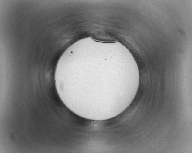 X0000116550088201001071124