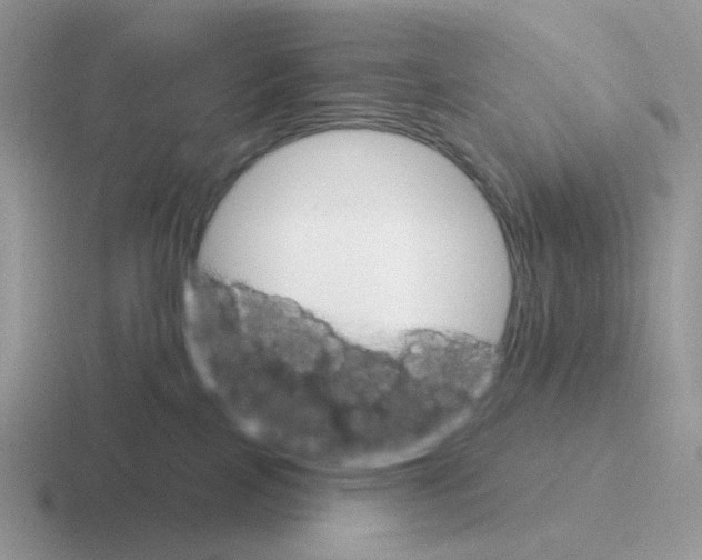 X0000116550089201001071124