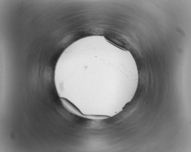 X0000116550092201001071124