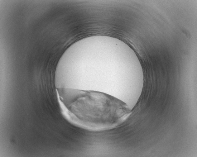 X0000116550093201001071124