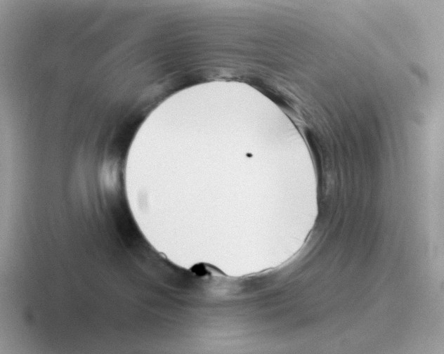 X0000116550094201001071124