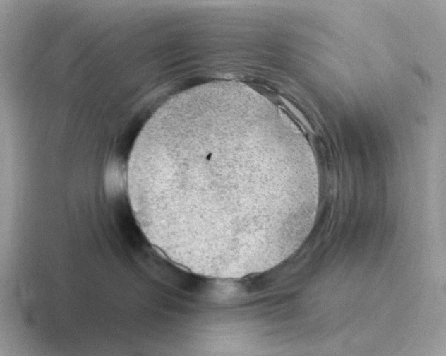 X0000116550095201001071124