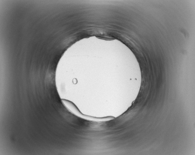 X0000116550096201001071124