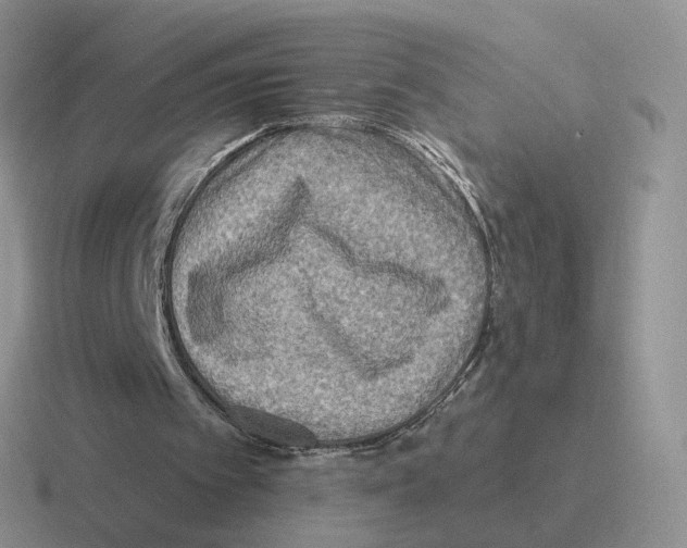 X0000116550097201001071123