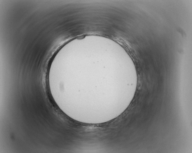 X0000116550098201001071123