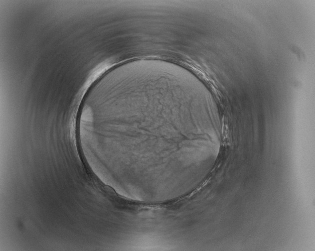 X0000116550099201001071123