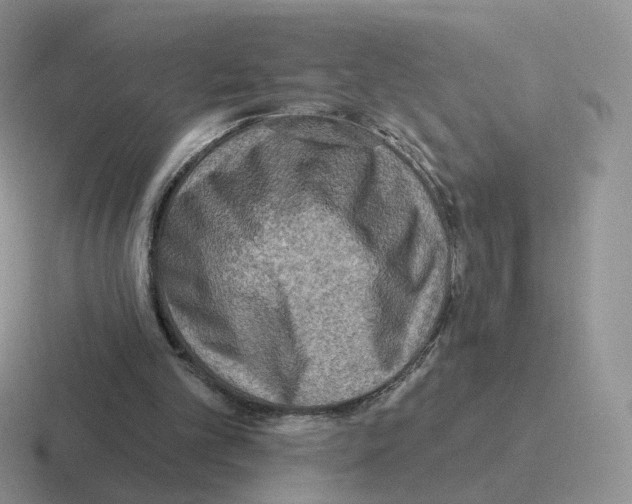 X0000116550101201001071123