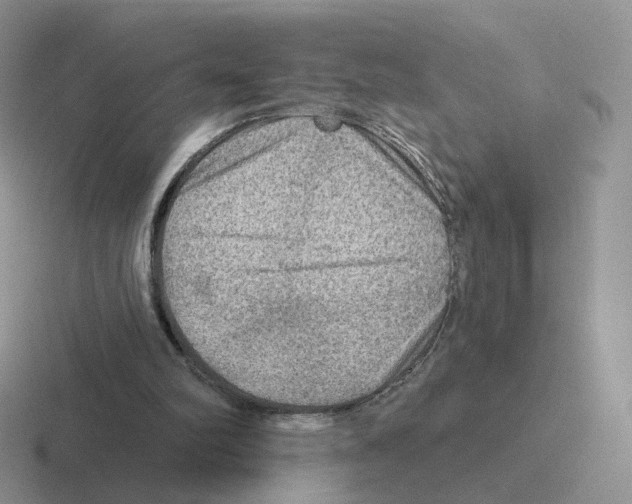 X0000116550102201001071123