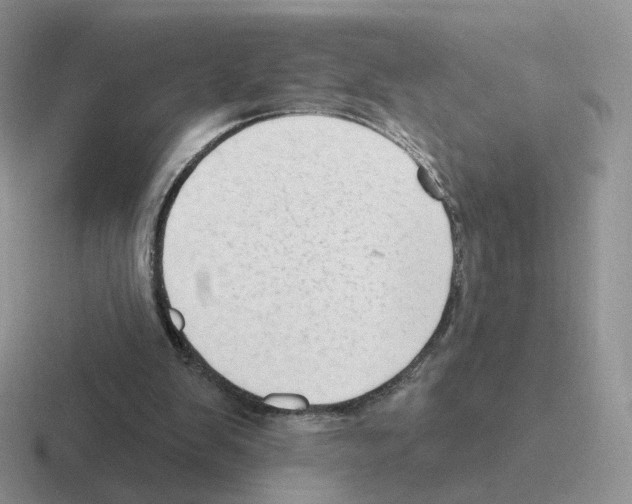 X0000116550103201001071123