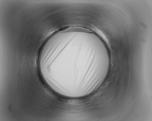 X0000116550105201001071123