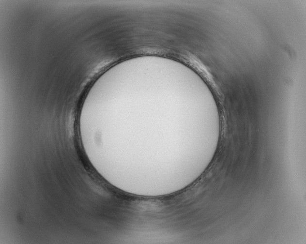 X0000116550106201001071123