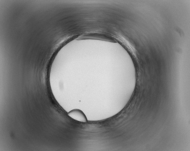 X0000116550107201001071123