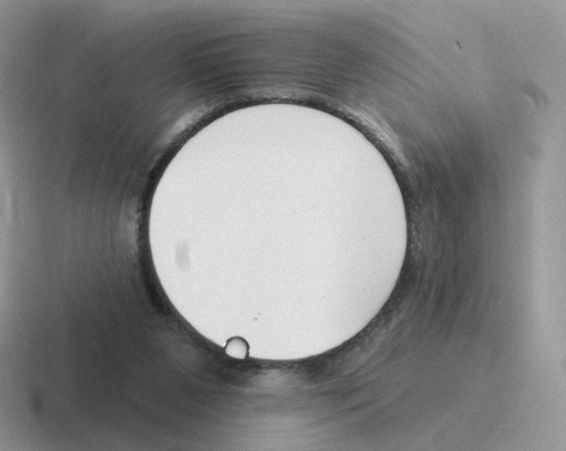 X0000116550111201001071123