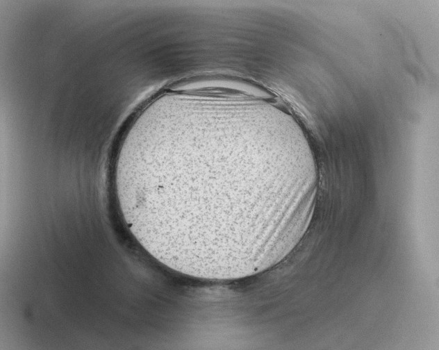 X0000116550112201001071123