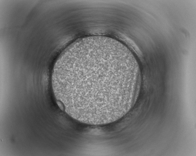 X0000116550113201001071123