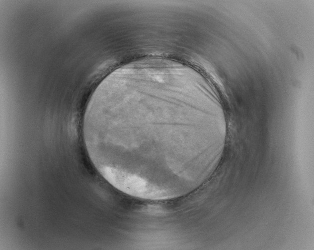 X0000116550114201001071123