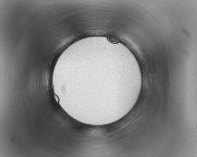 X0000116550115201001071123