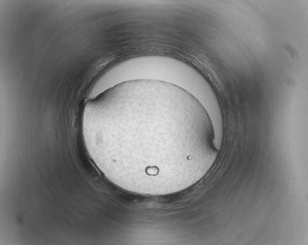 X0000116550116201001071123