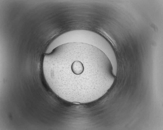 X0000116550117201001071123