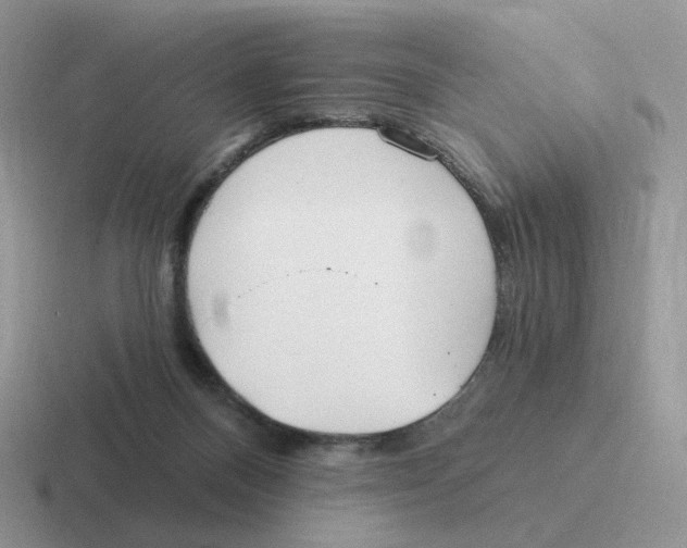 X0000116550120201001071123