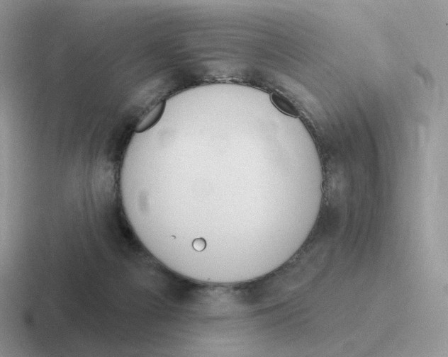 X0000116550121201001071123