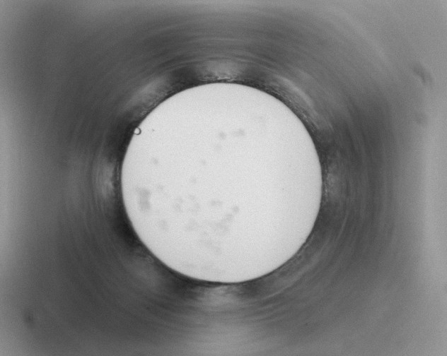 X0000116550122201001071123